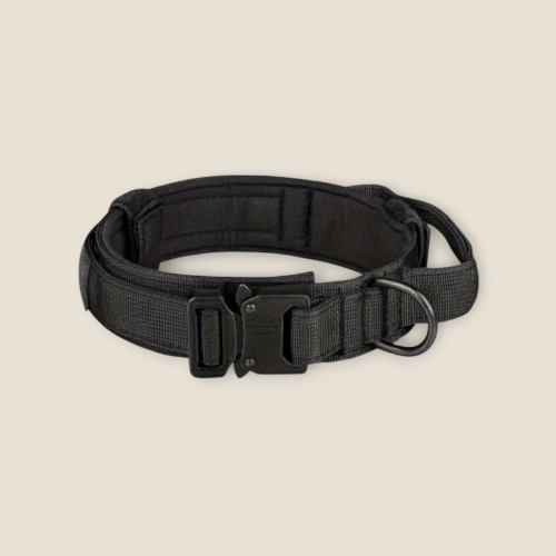 Collier chien avec Poignée
